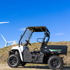 Buggy LINHAI LH 50DU 2×4